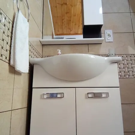 Bujtina Ahmetaj Orman Evi *