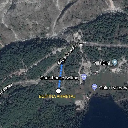 Orman Evi Bujtina Ahmetaj